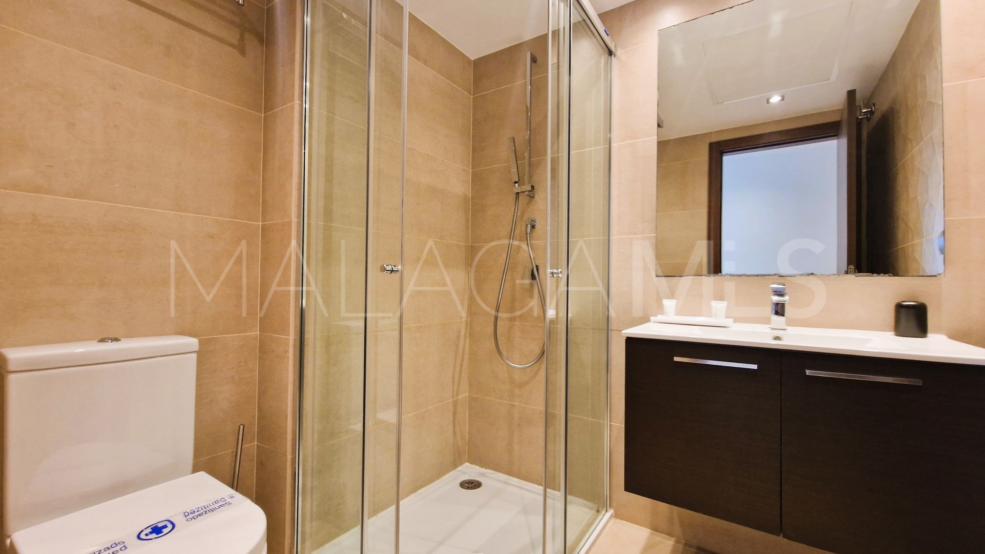 Duplex penthouse for sale in Nueva Alcantara