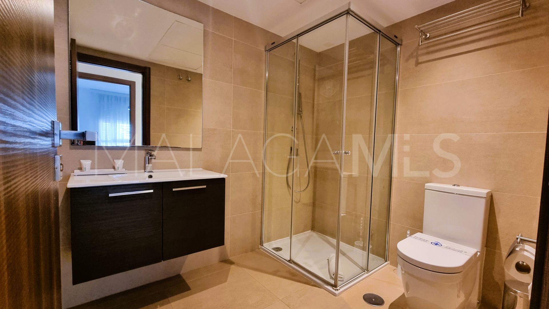 Duplex penthouse for sale in Nueva Alcantara