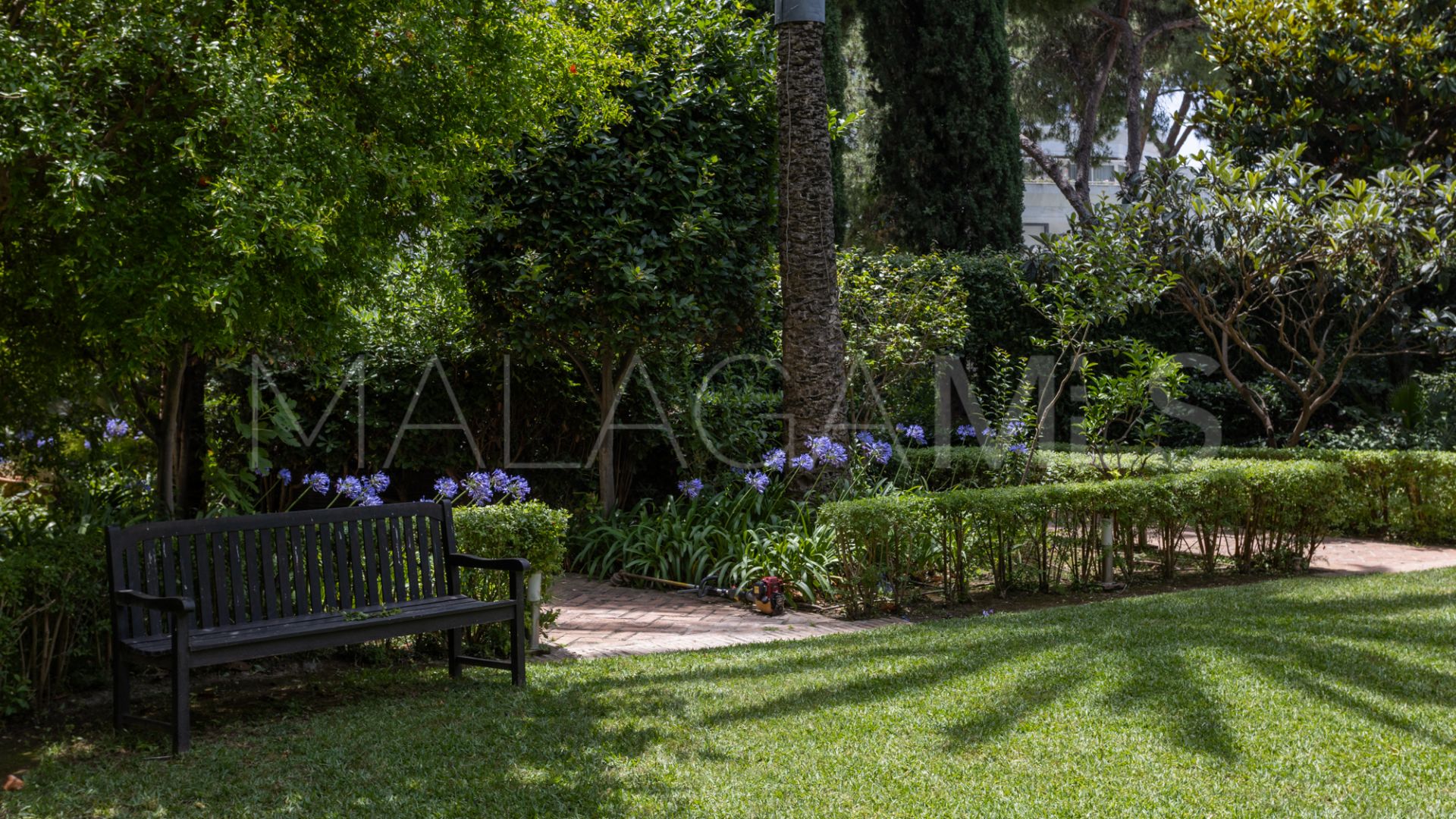 Apartamento for sale in Don Gonzalo