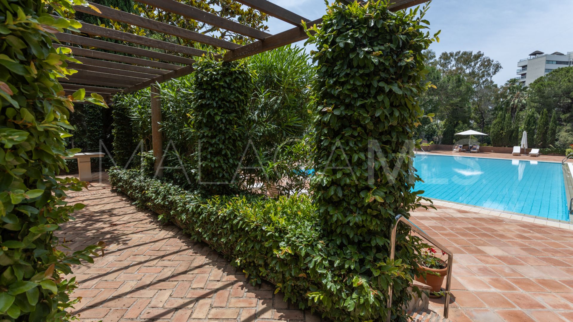 Apartamento for sale in Don Gonzalo