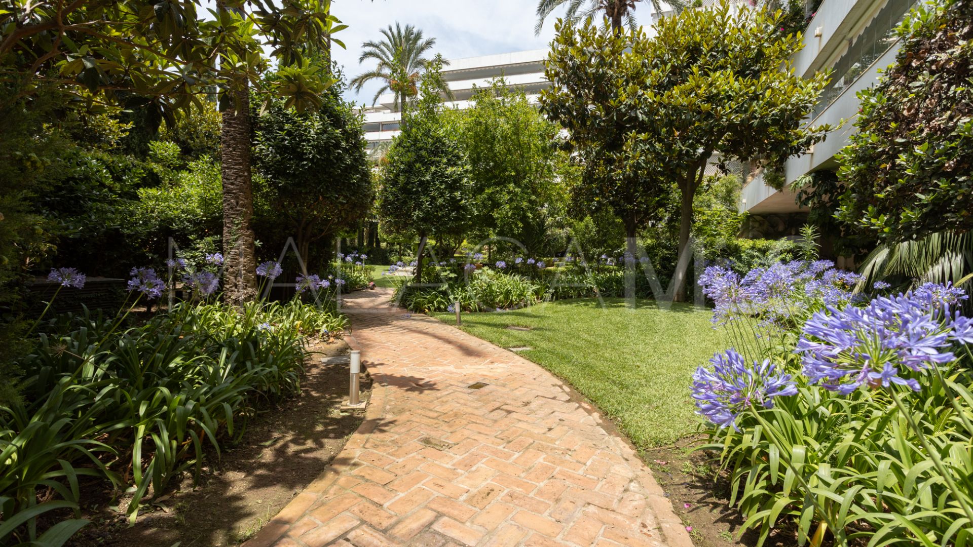Apartamento for sale in Don Gonzalo