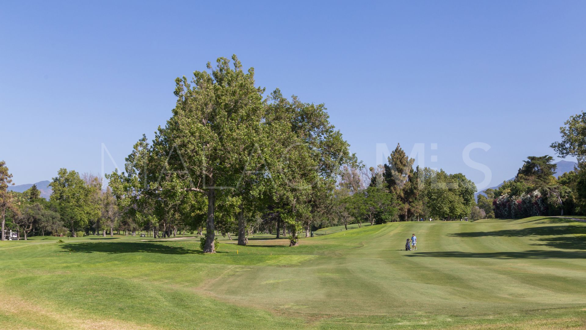 5 bedrooms villa for sale in Guadalmina Alta