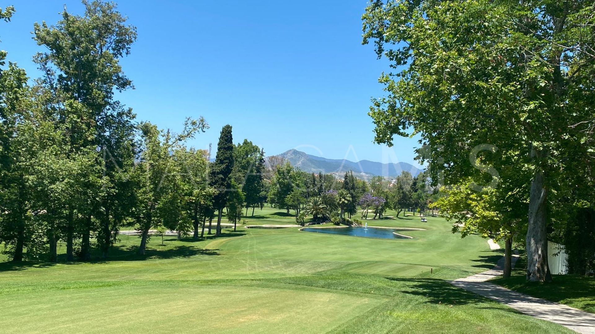 5 bedrooms villa for sale in Guadalmina Alta