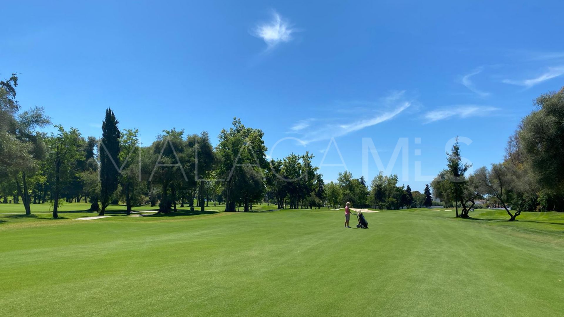 5 bedrooms villa for sale in Guadalmina Alta