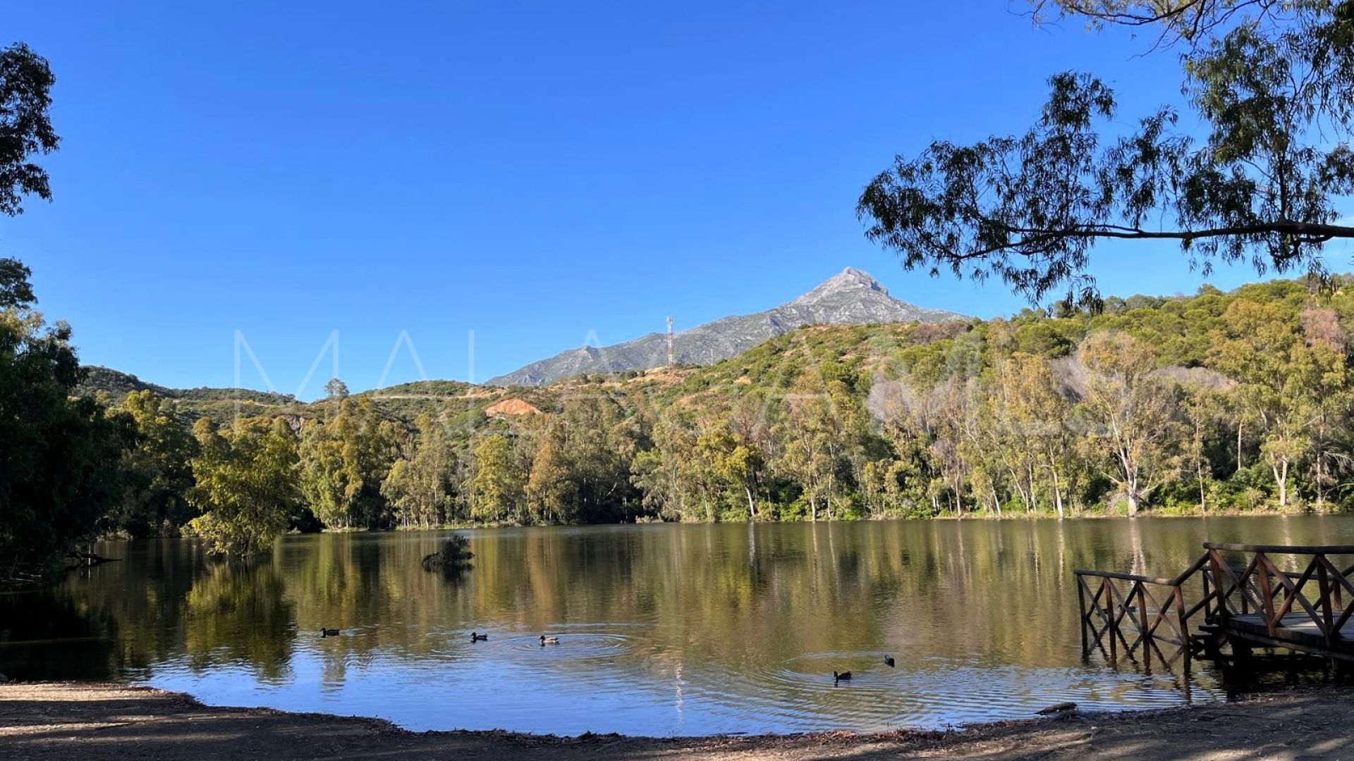 Balcón del Golf ground floor apartment for sale