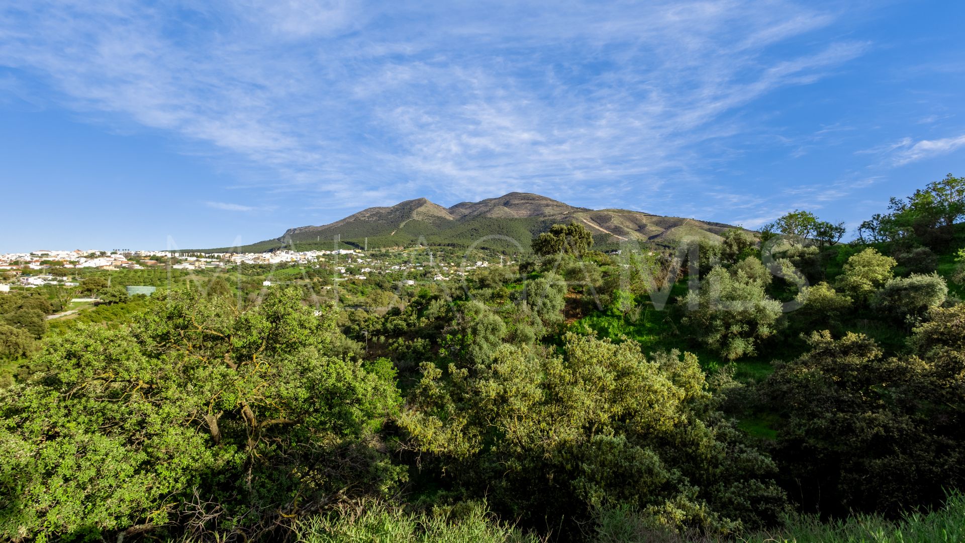 Landhaus for sale in Alhaurin el Grande