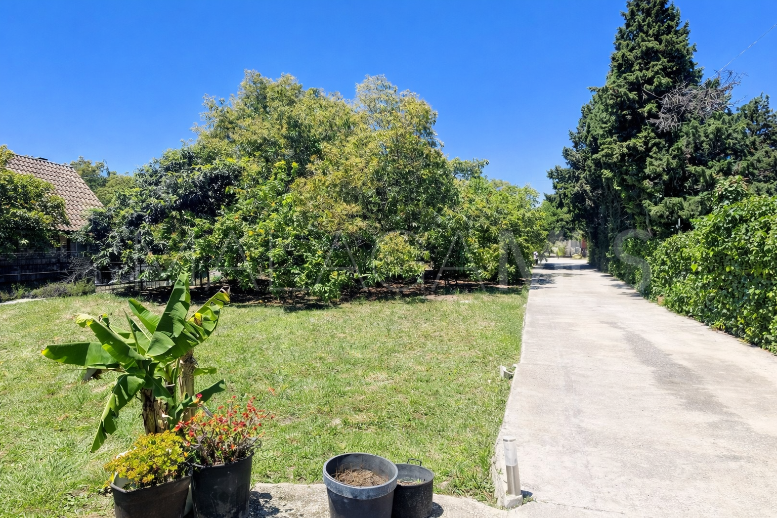 3 bedrooms San Pedro de Alcantara house for sale