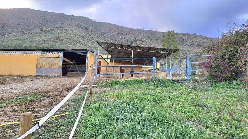 Finca for sale in La Cala Golf Resort