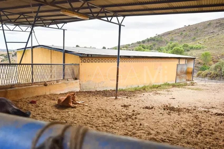 Finca for sale in La Cala Golf Resort with 6 bedrooms