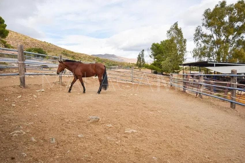 Finca for sale in La Cala Golf Resort with 6 bedrooms