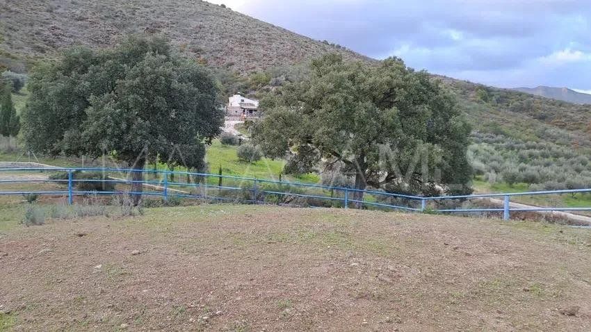 Finca for sale in La Cala Golf Resort