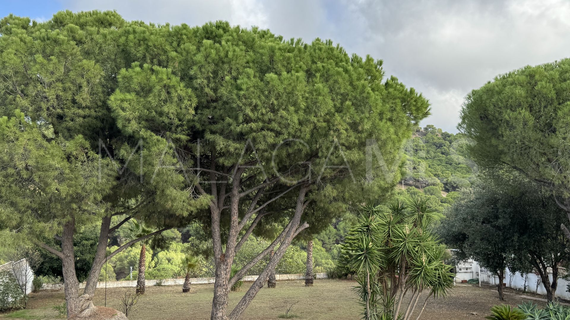 Villa for sale in Pinos de Alhaurín