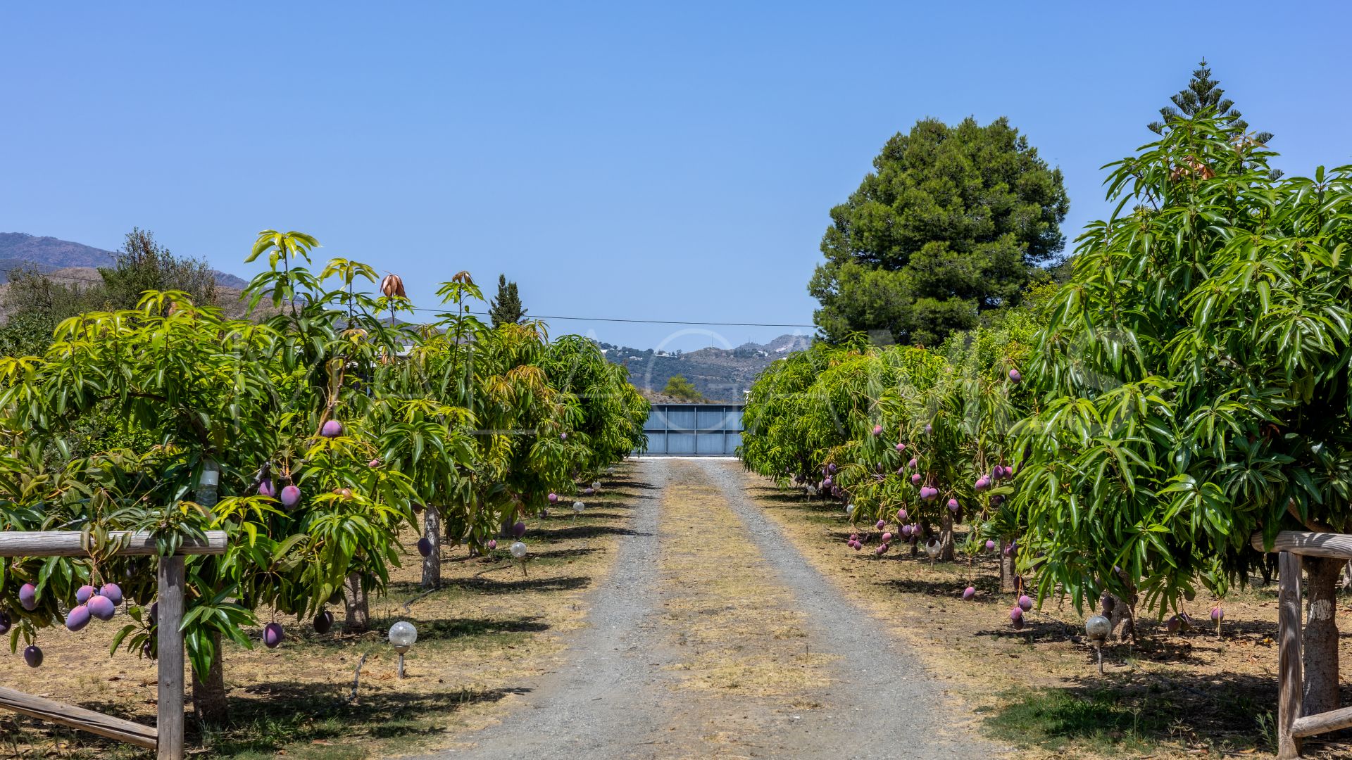 Villa for sale in Mijas