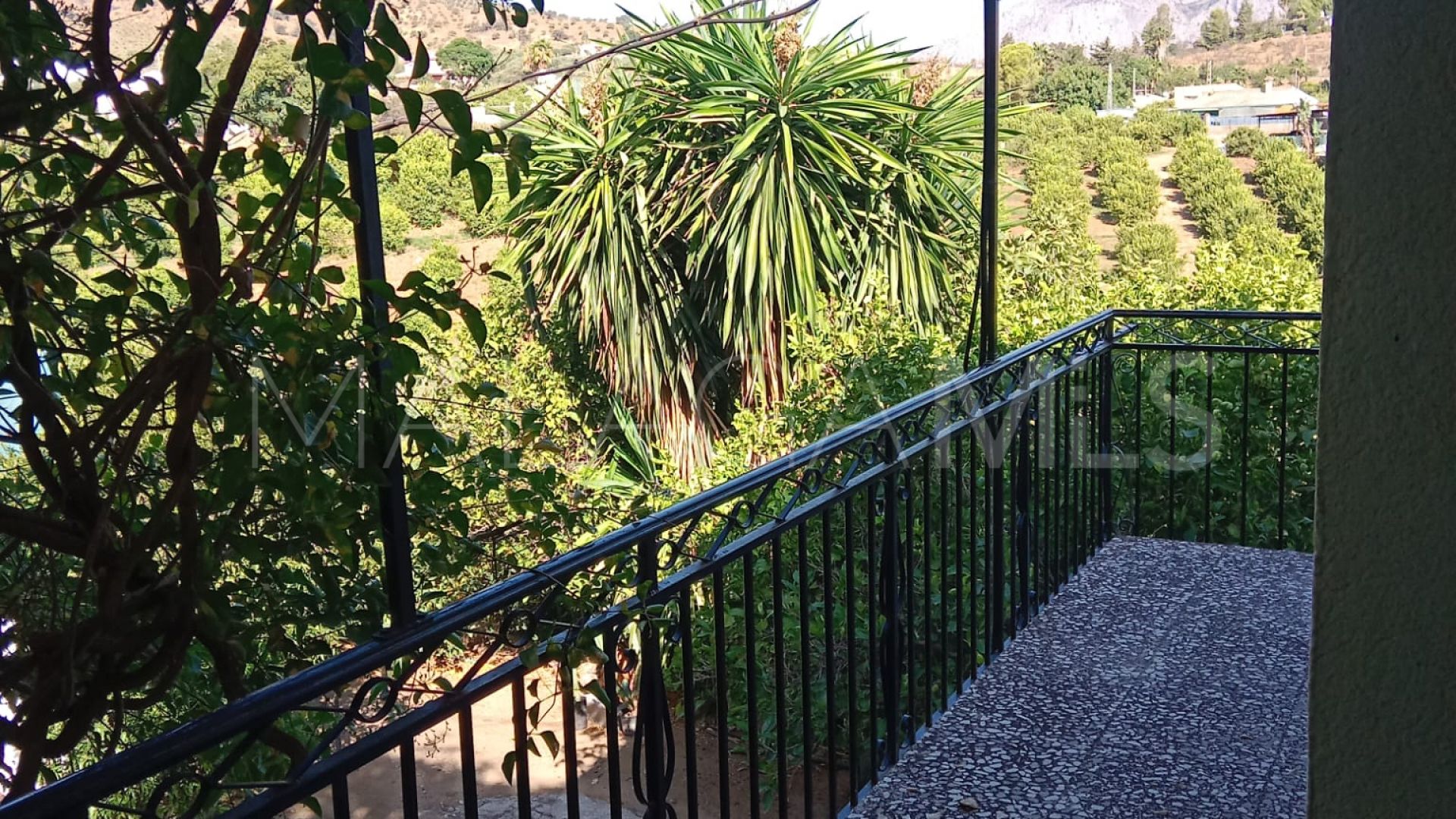 Finca for sale in Alora