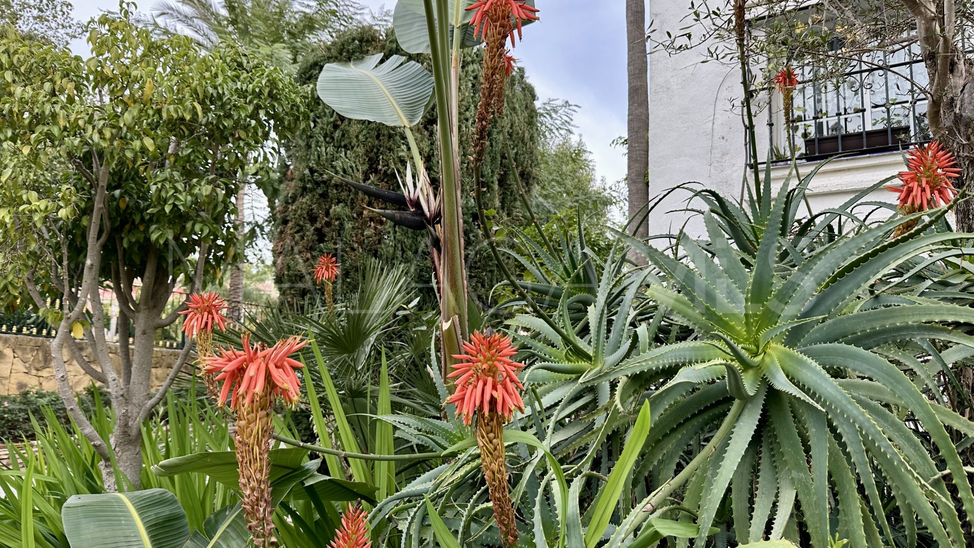 Puente Romano, adosado for sale with 3 bedrooms