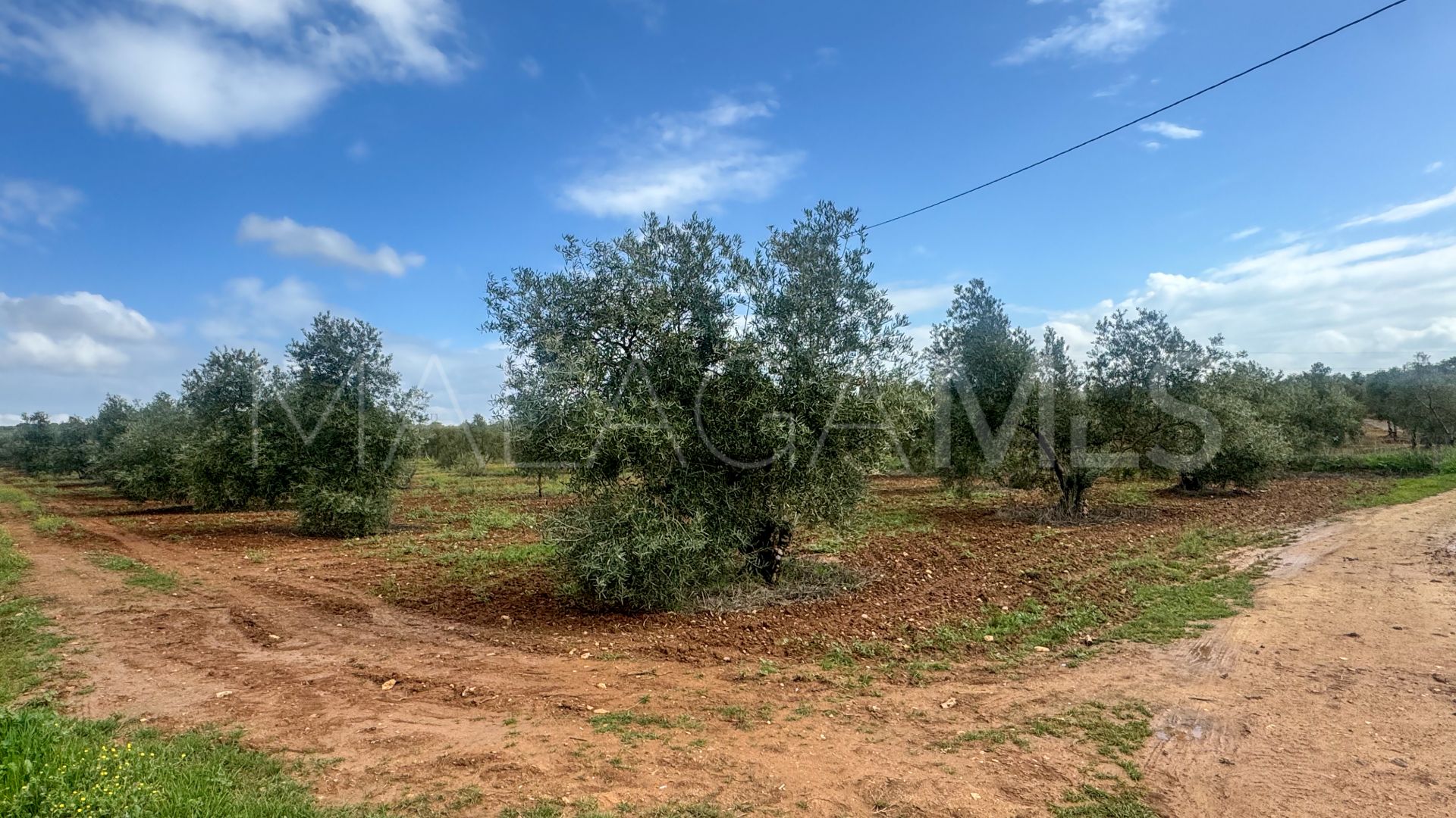 Plot for sale in Mollina
