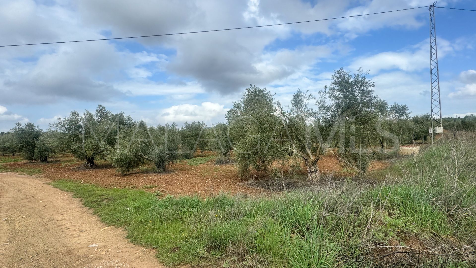 Plot for sale in Mollina
