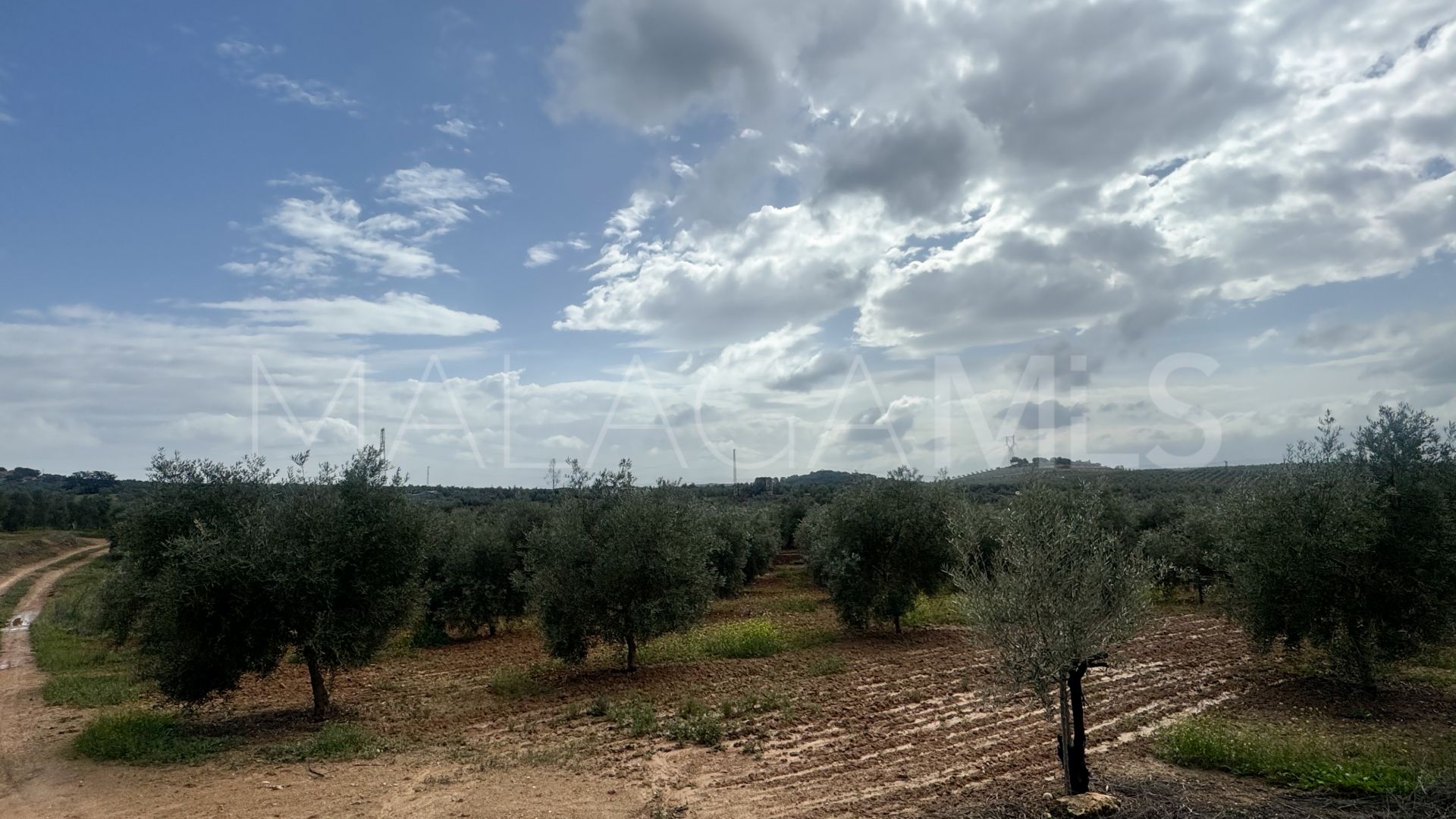 Plot for sale in Mollina