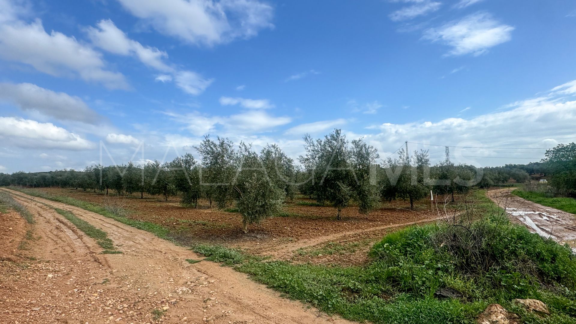 Plot for sale in Mollina