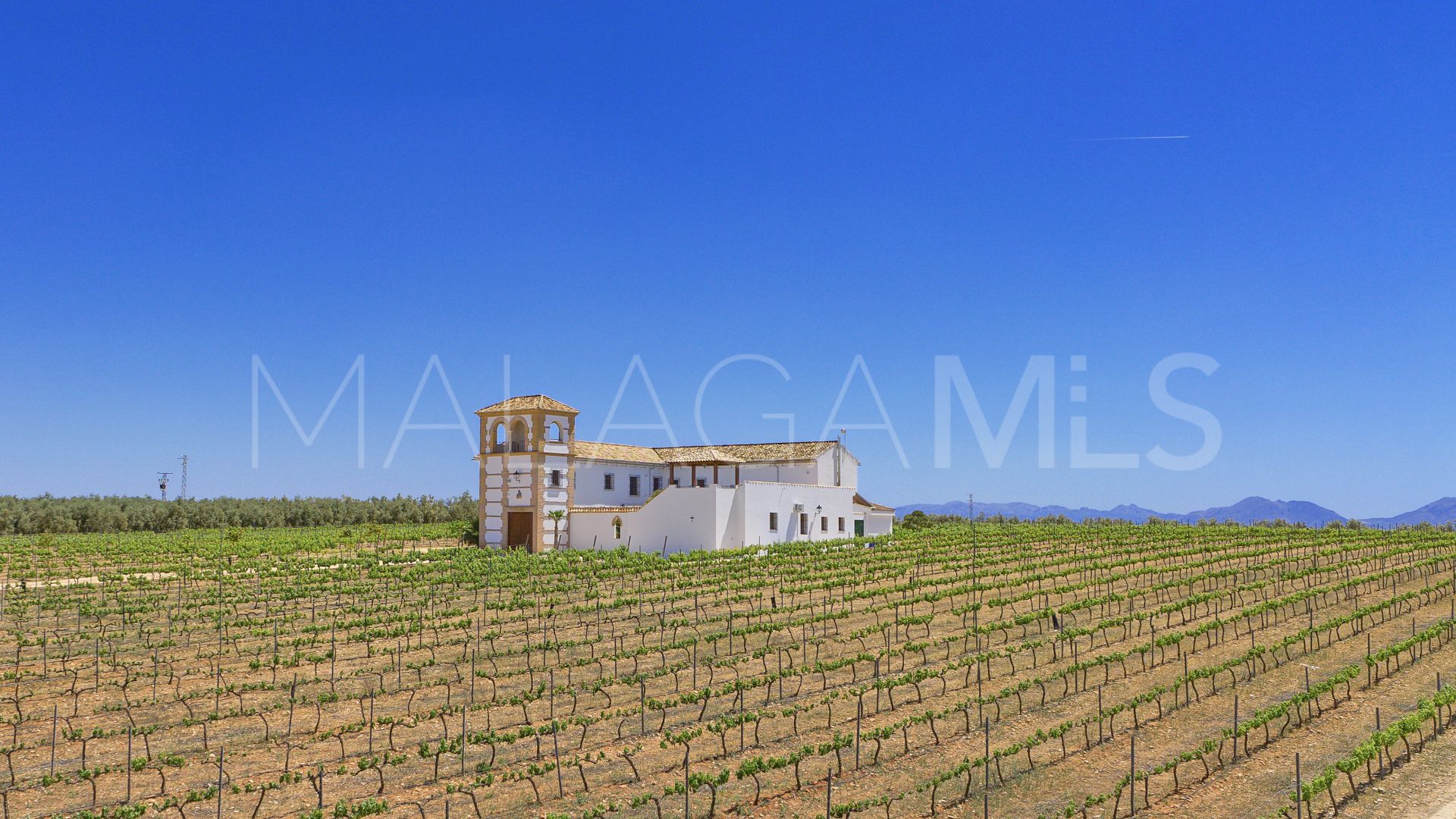 Cortijo for sale in Mollina