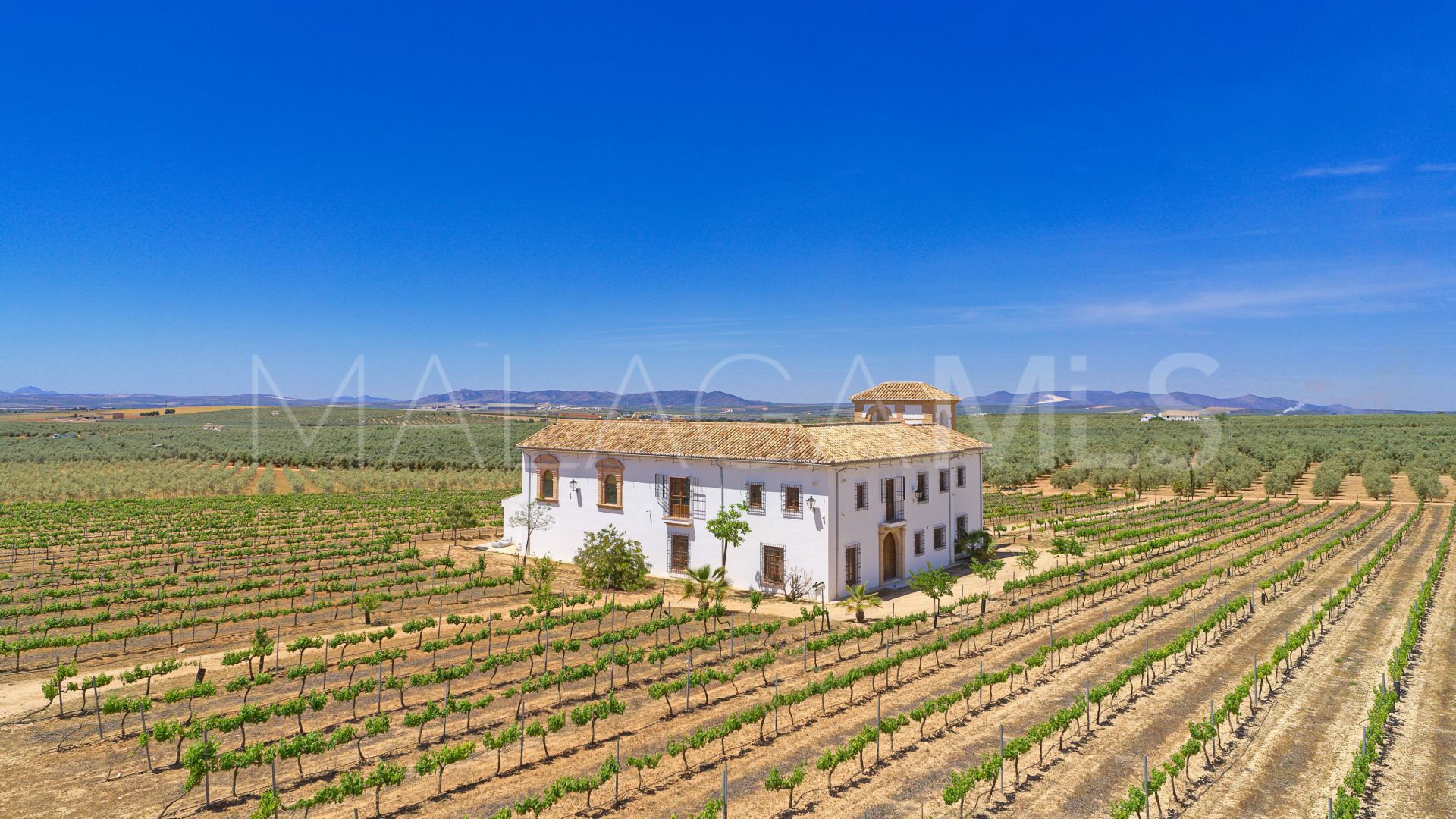 Cortijo for sale in Mollina
