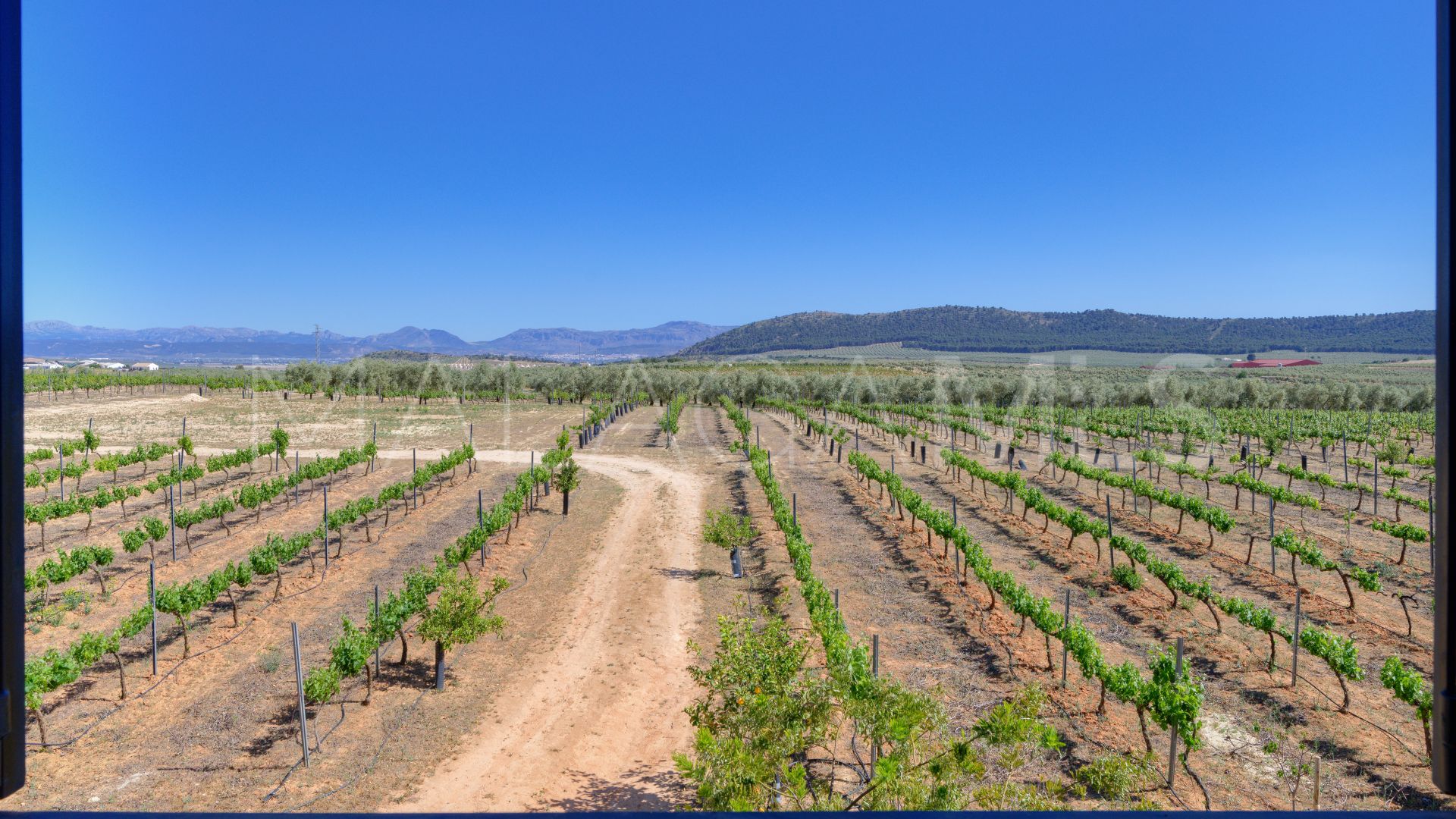 Cortijo for sale in Mollina