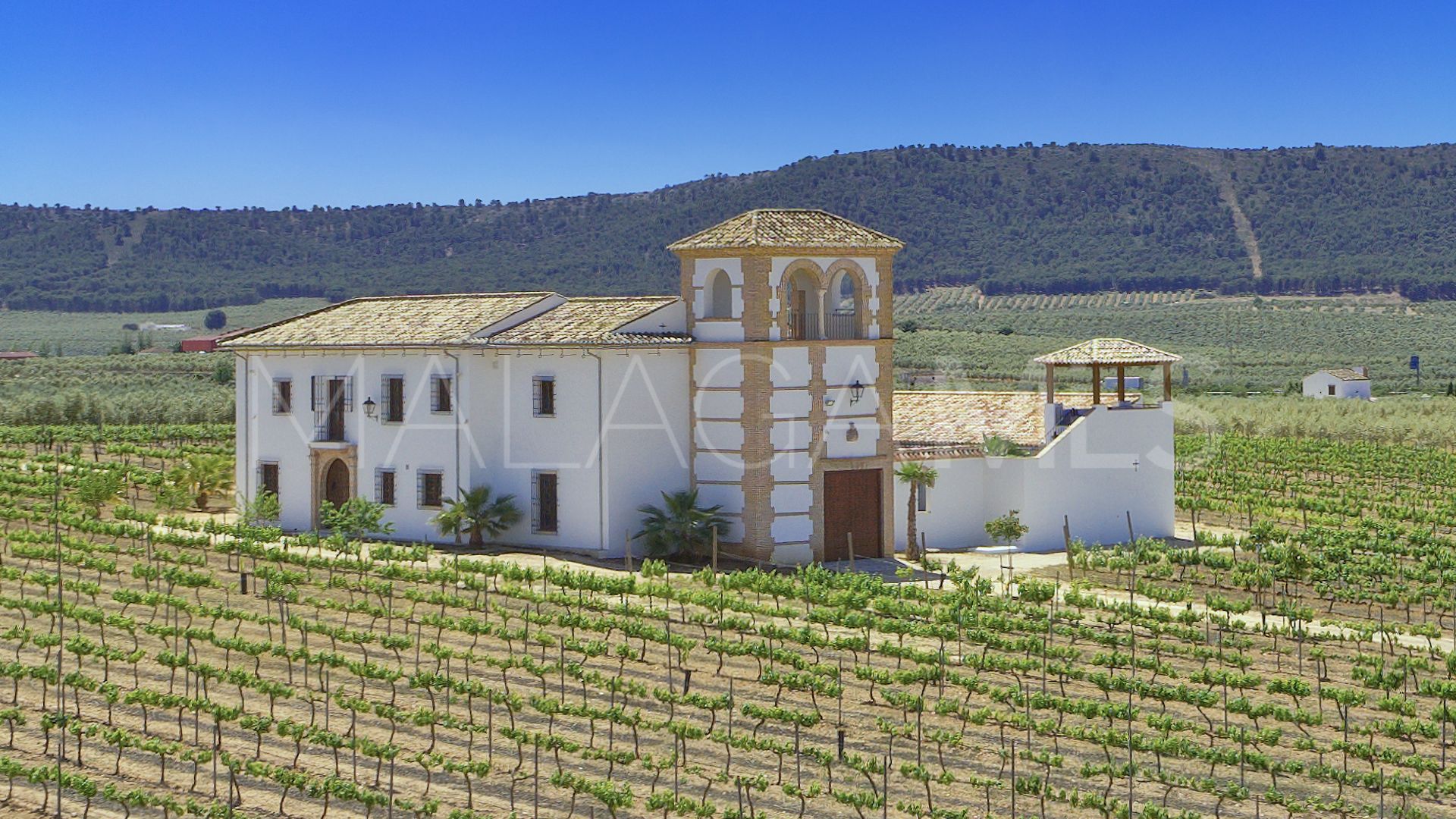 Cortijo for sale in Mollina