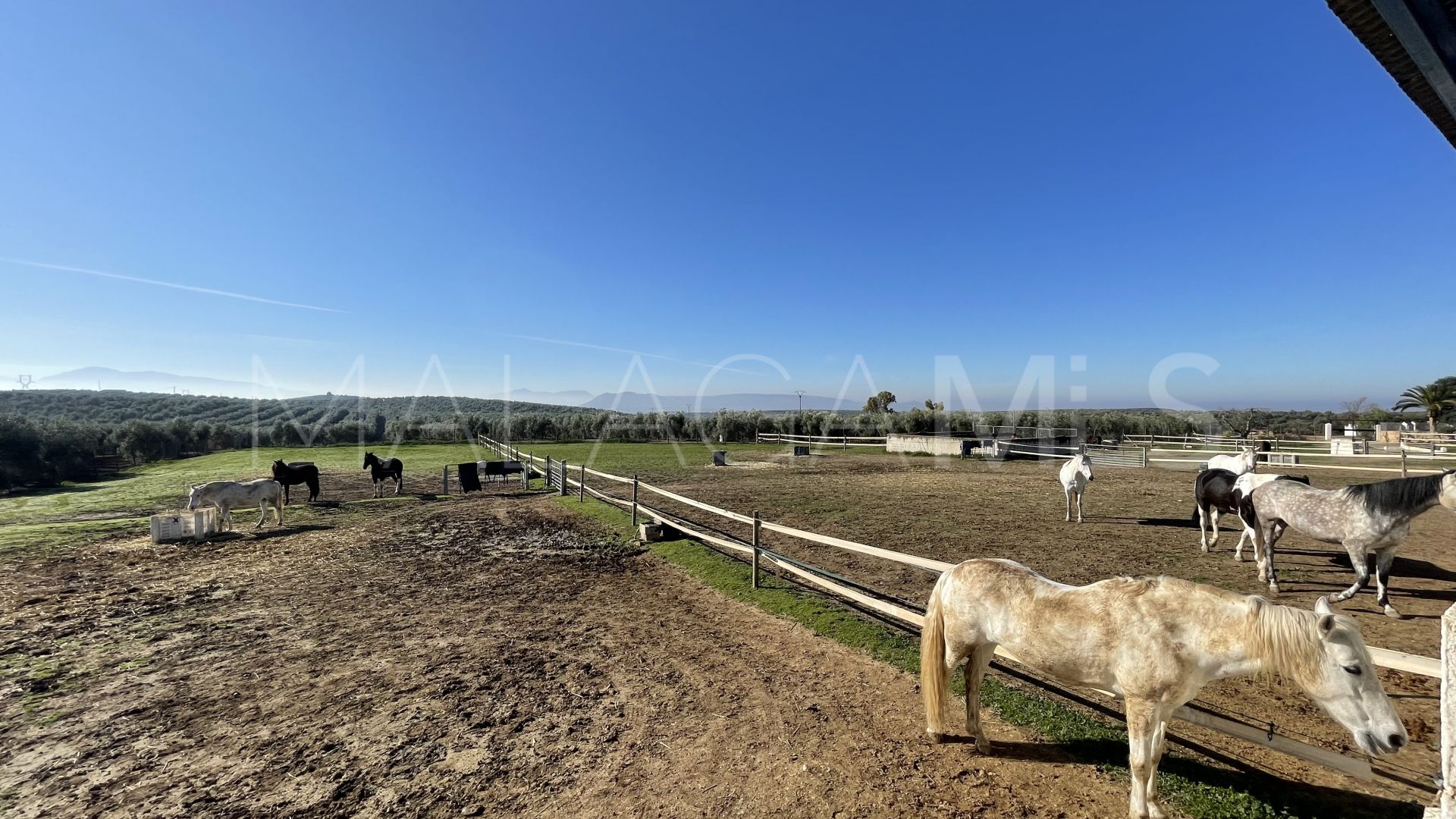 Cortijo for sale in Mollina