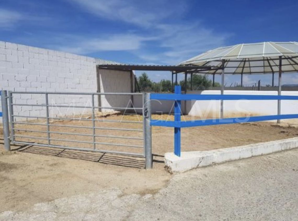 Cortijo for sale in Mollina