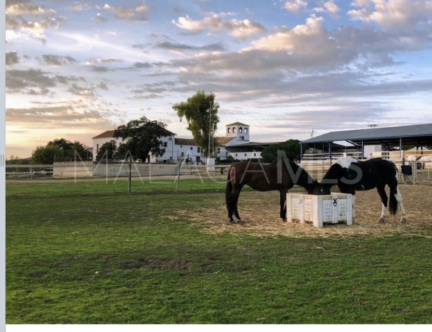 Cortijo for sale in Mollina