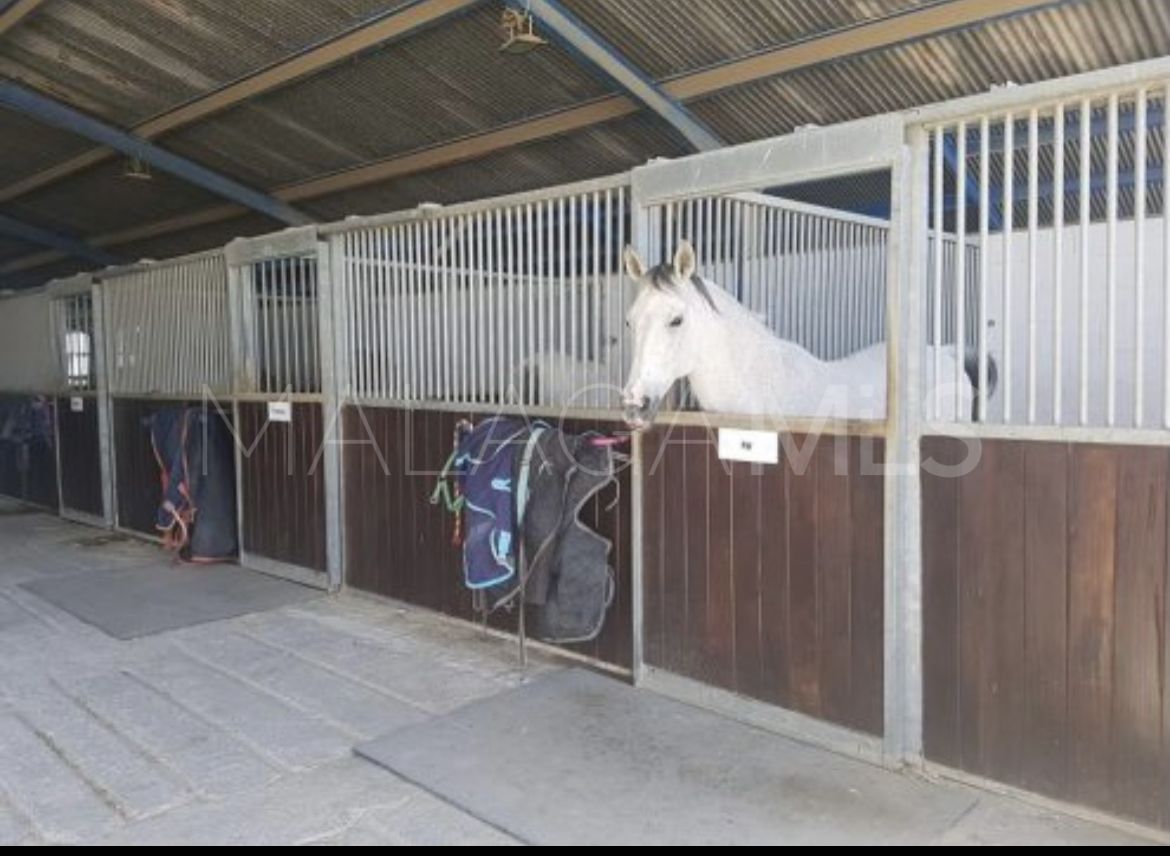 Cortijo for sale in Mollina