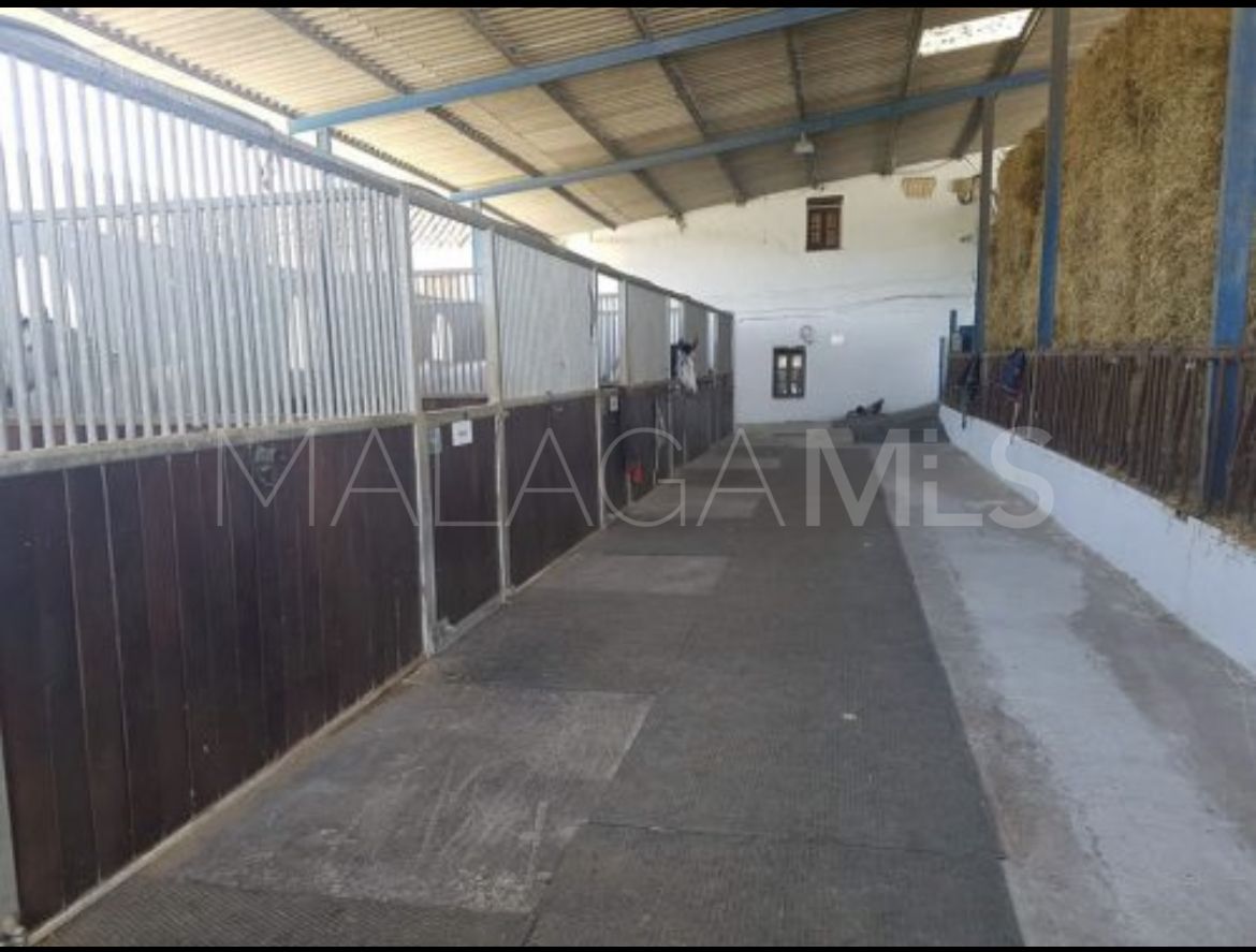 Cortijo for sale in Mollina