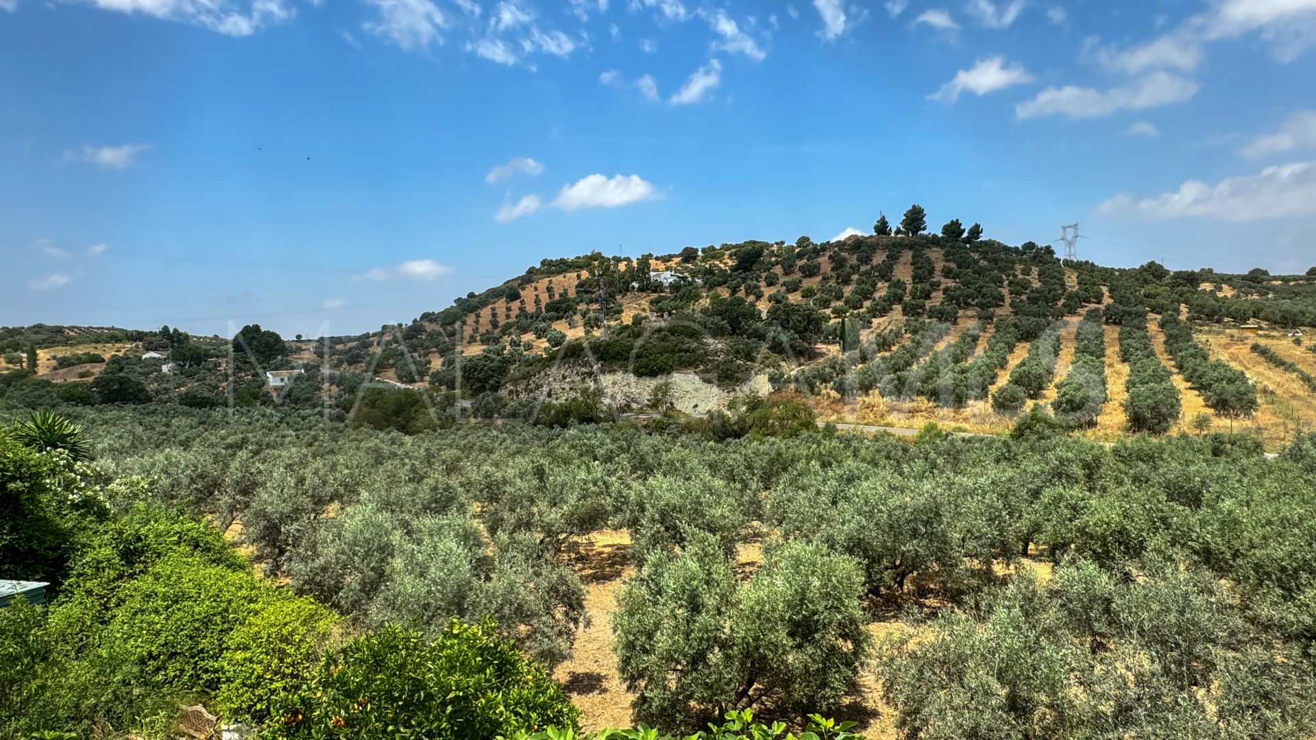 Se vende casa de campo in Antequera