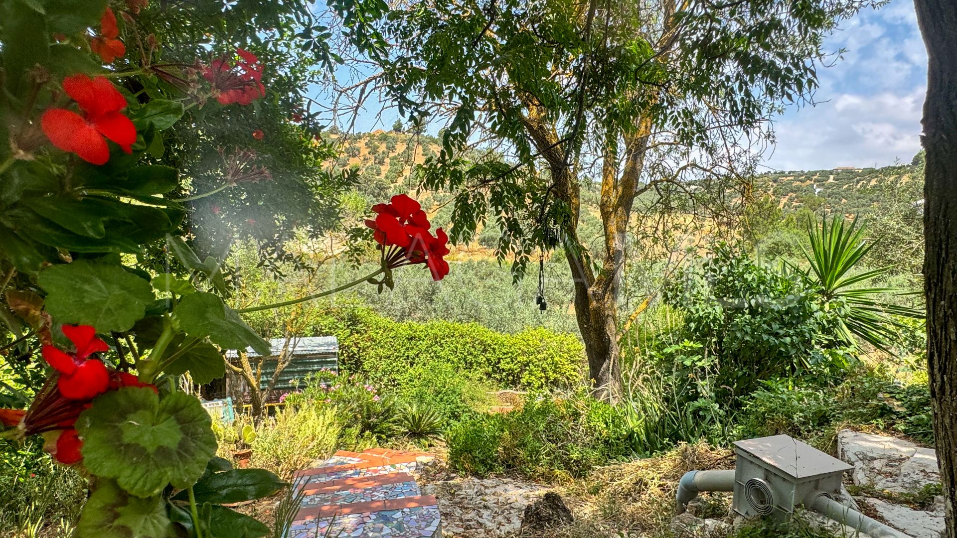 Se vende casa de campo in Antequera