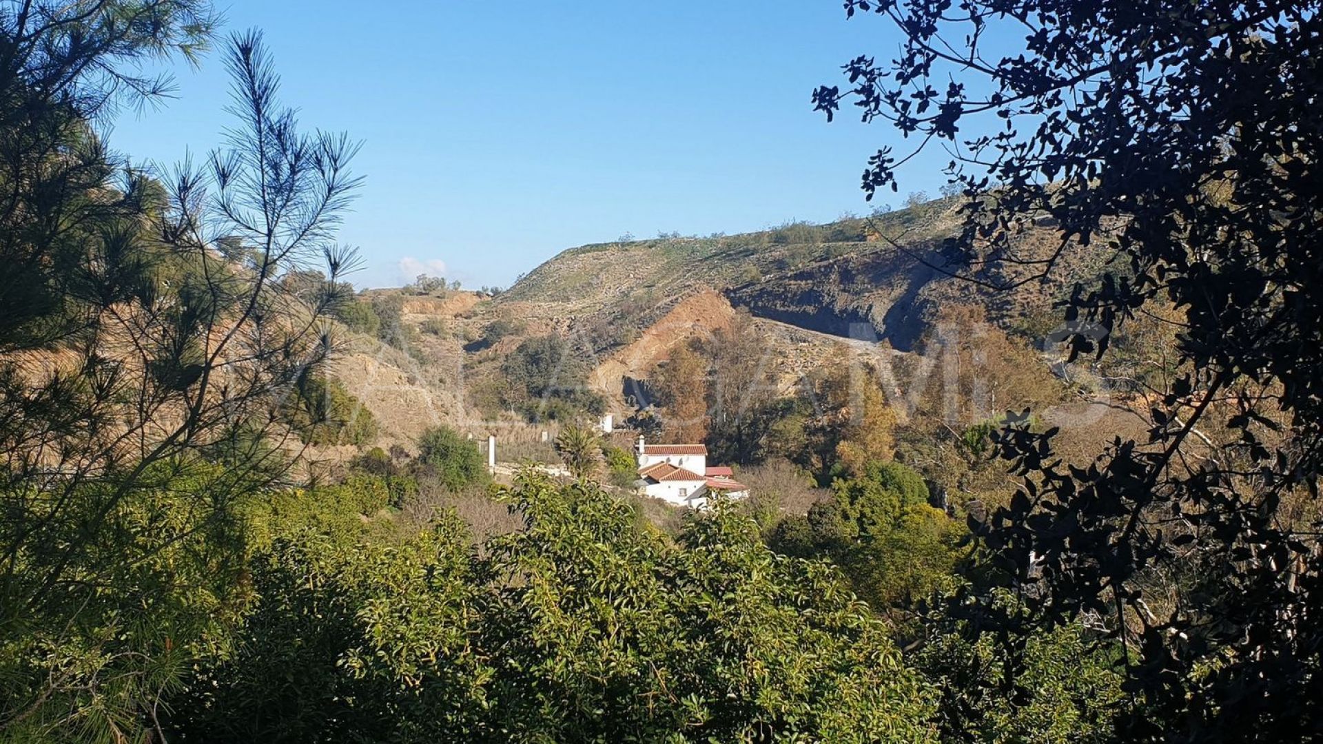 Finca for sale in Coin