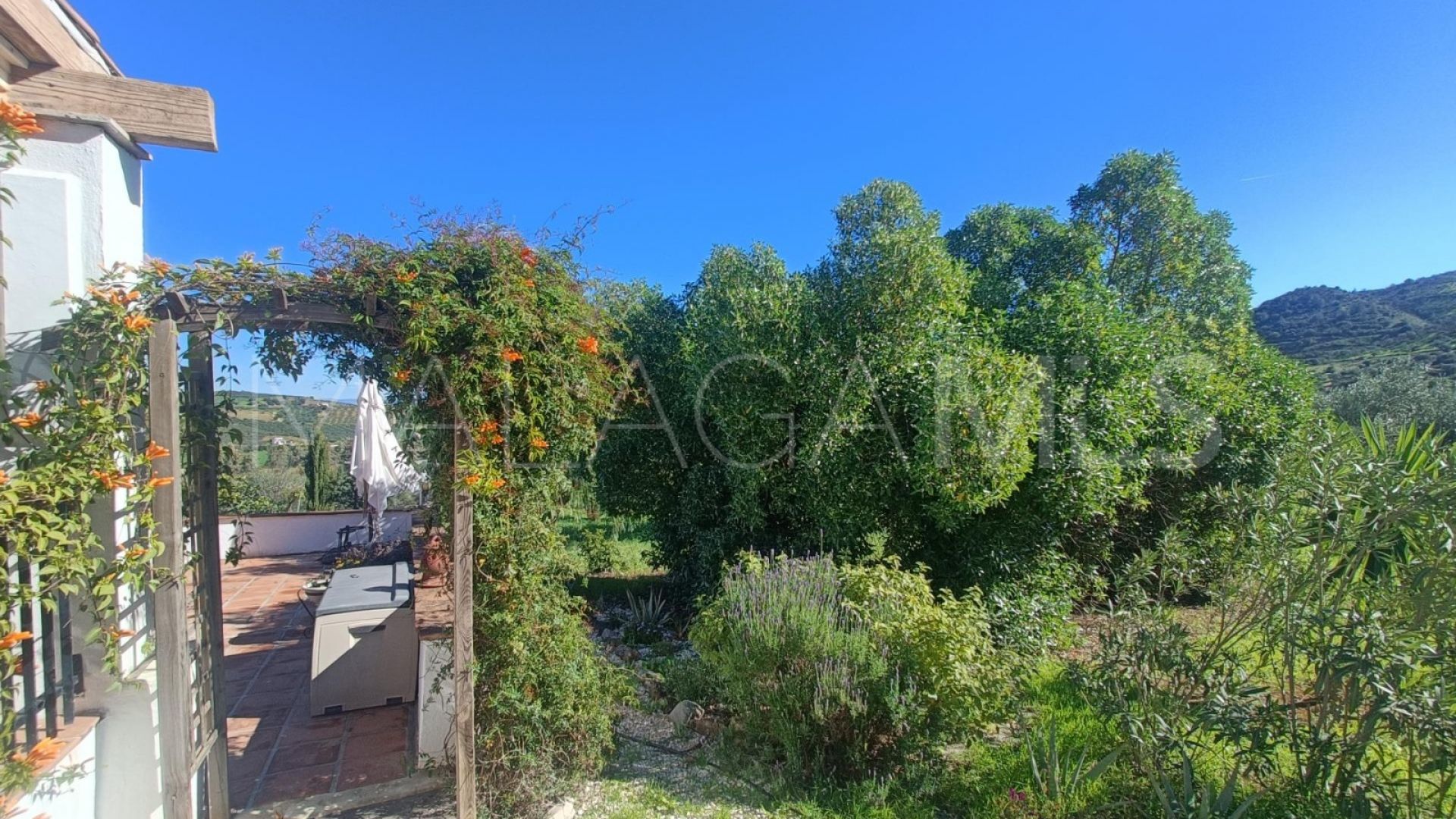 Haus for sale in Guaro