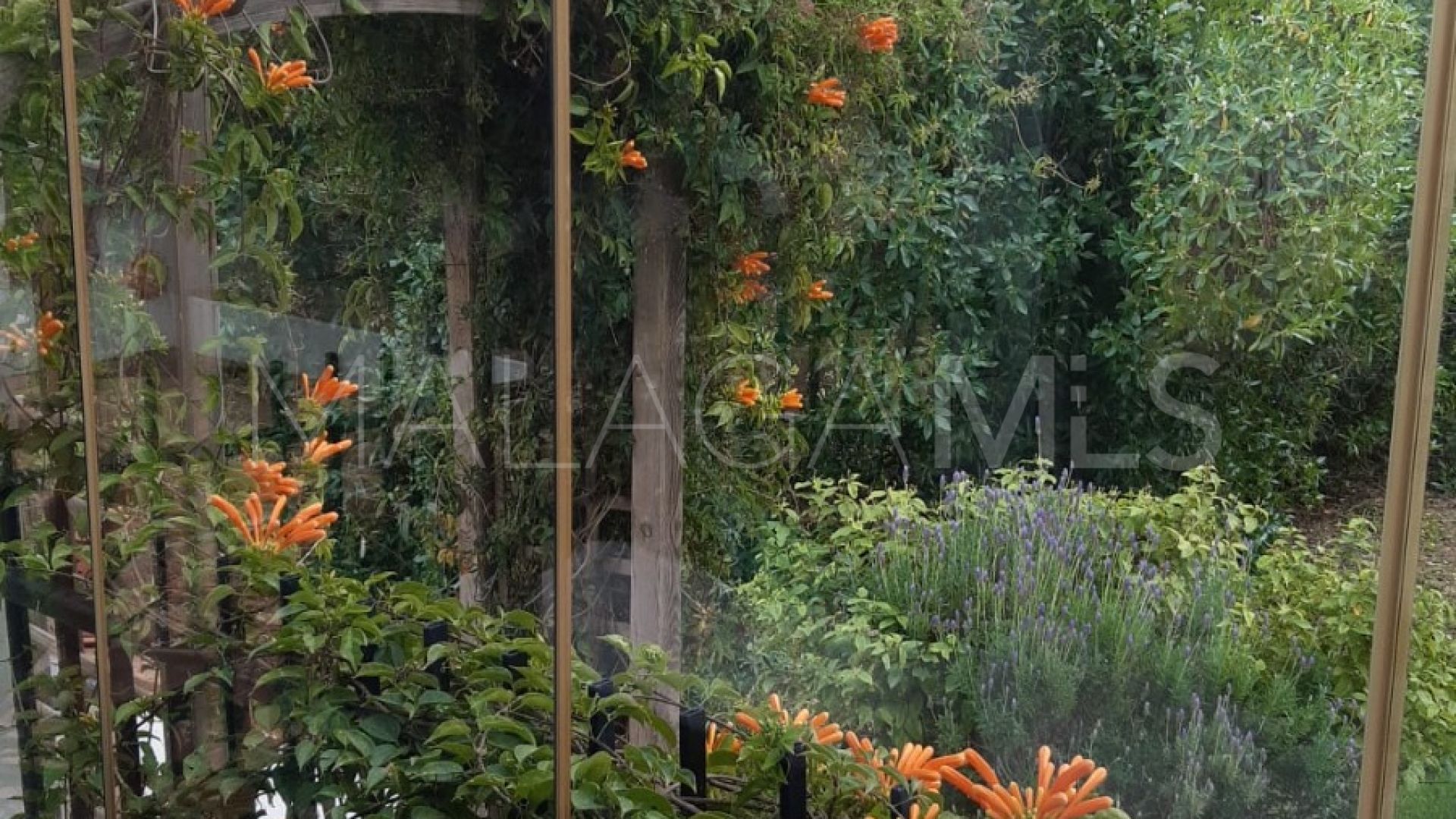 Haus for sale in Guaro