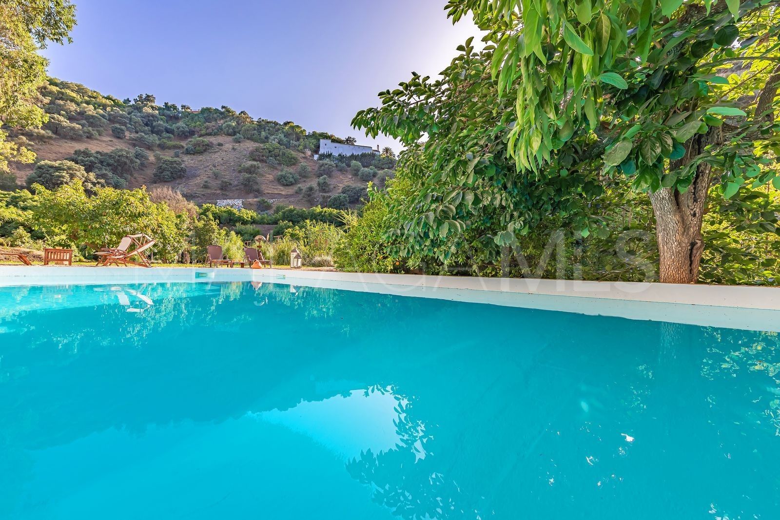 Finca for sale in Coin
