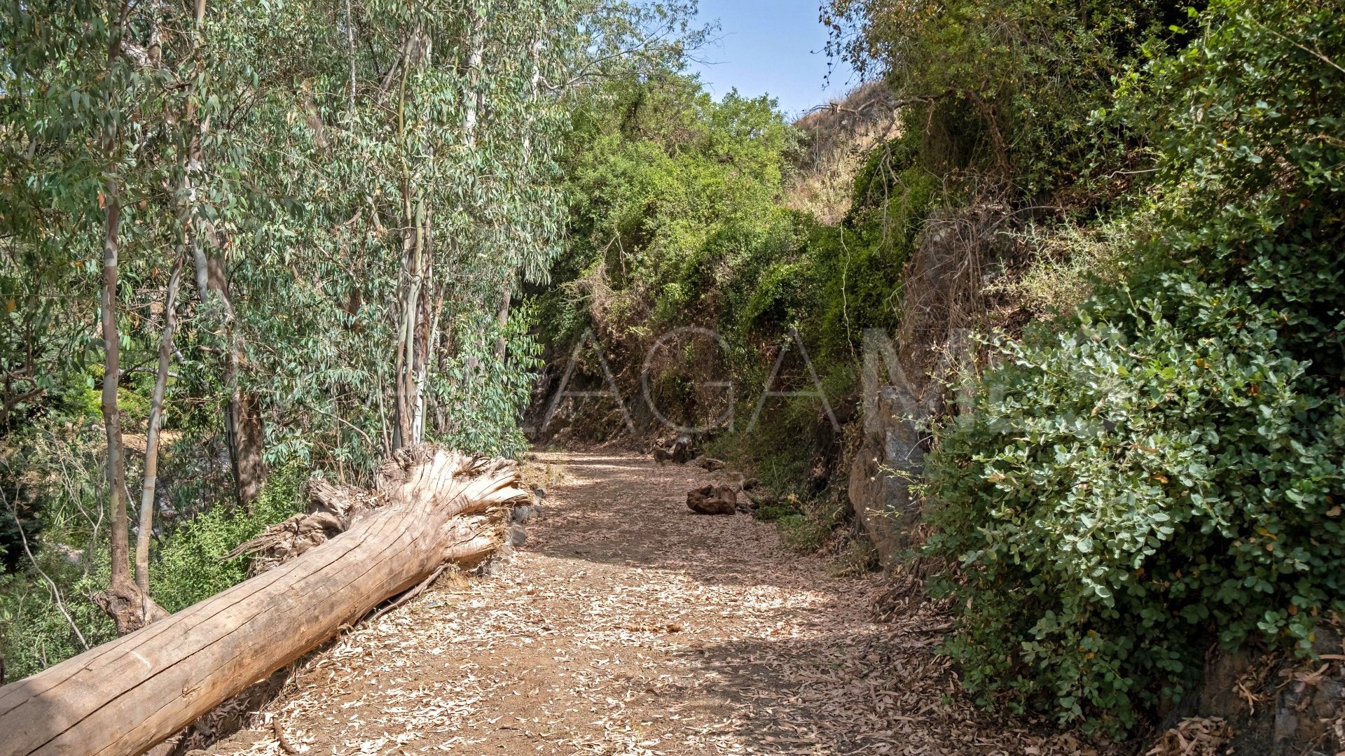 Finca for sale in Coin