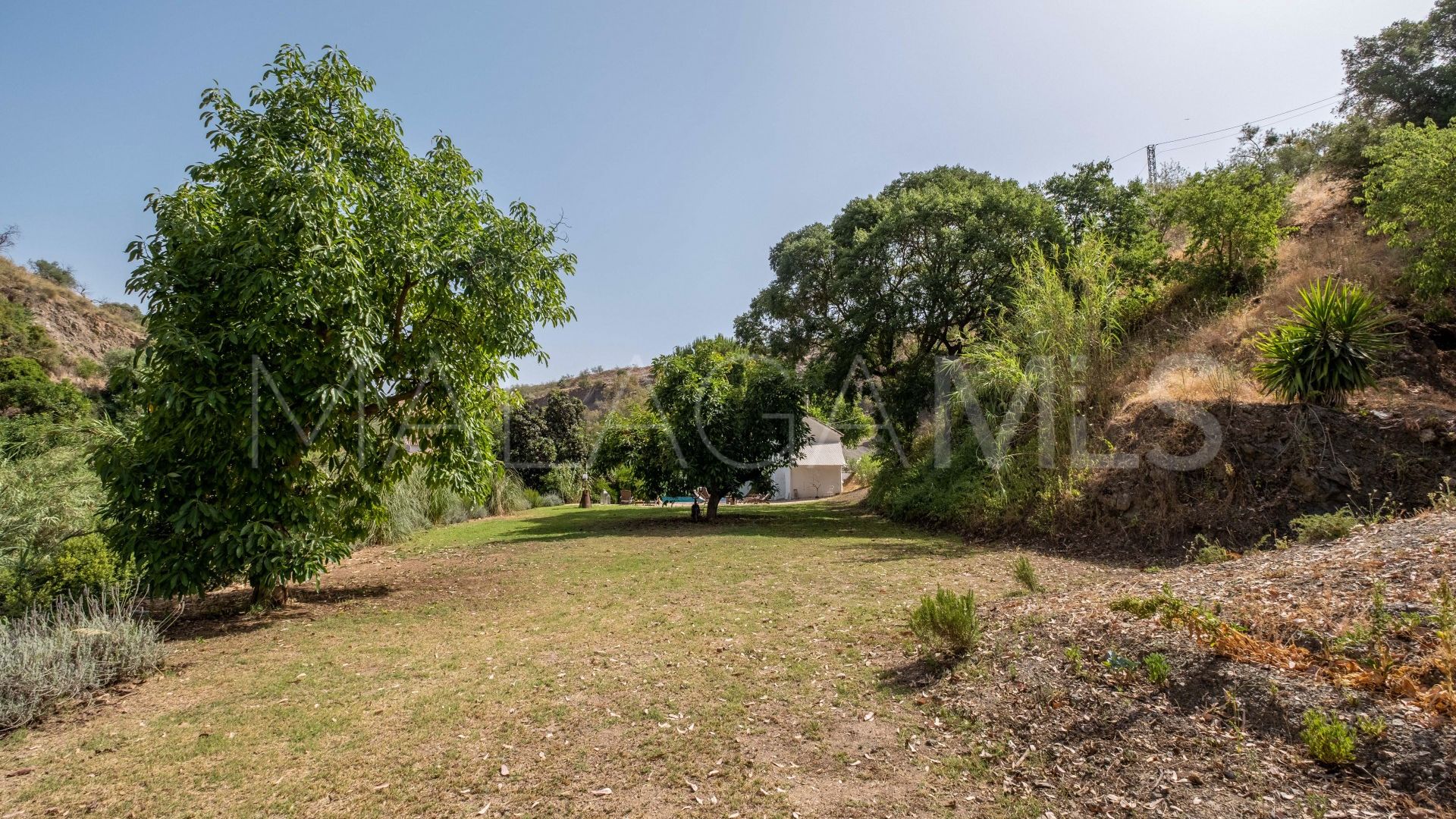 Finca for sale in Coin