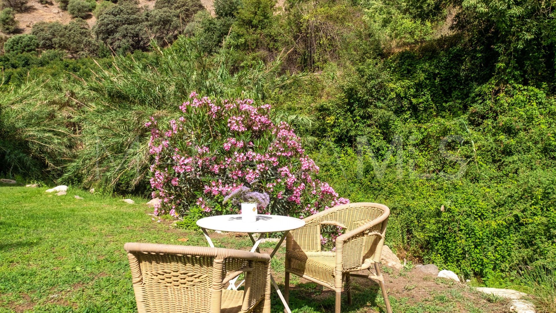 Finca for sale in Coin