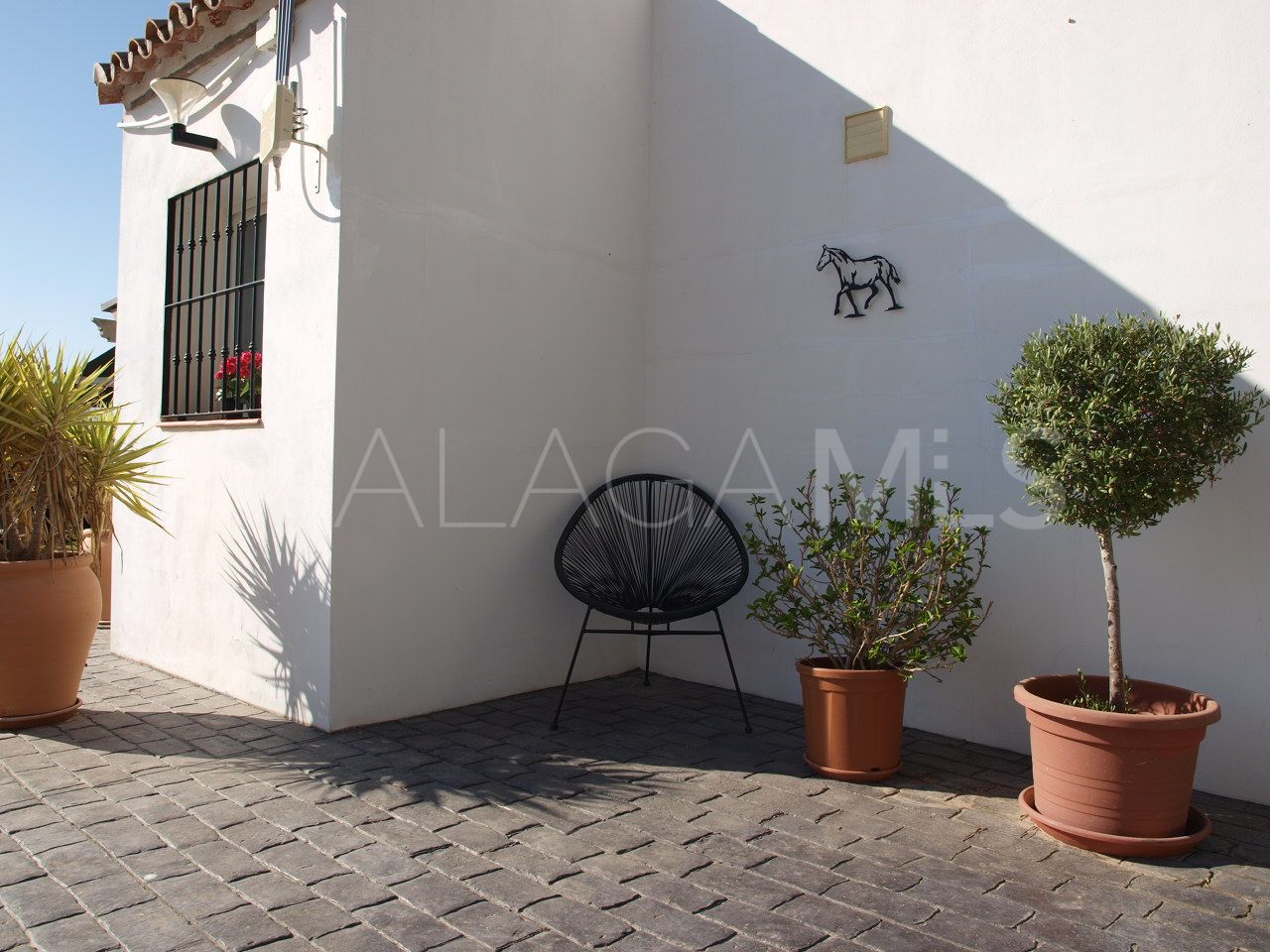 Finca for sale in Coin
