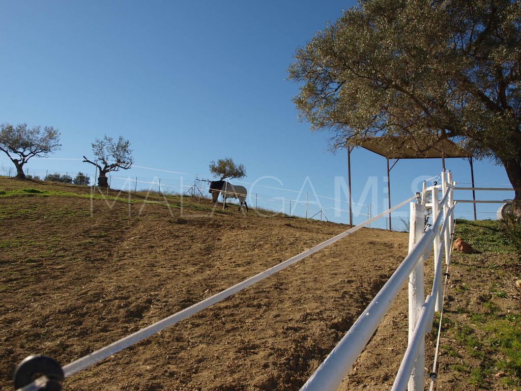 Finca for sale in Coin