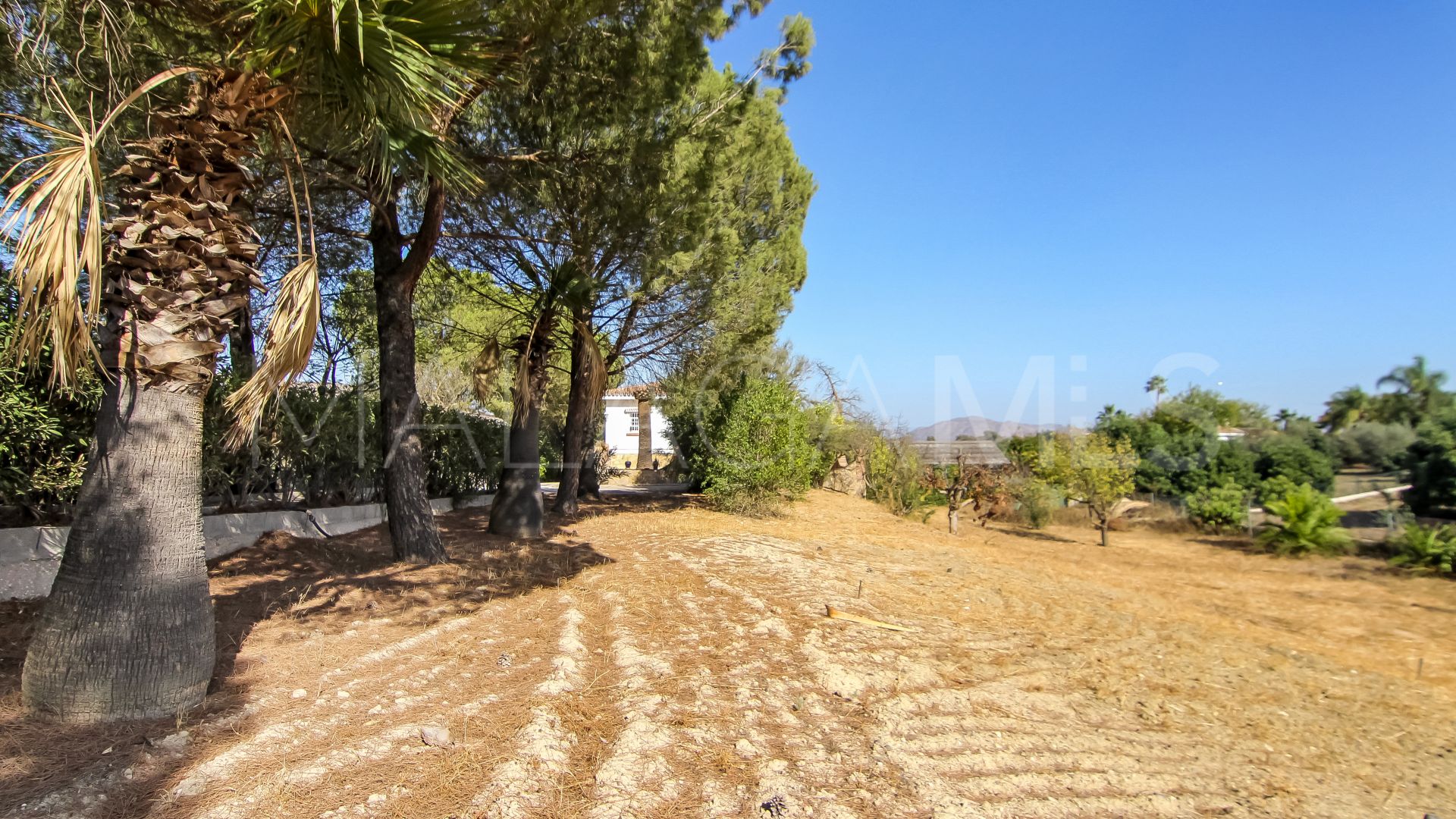 Finca for sale in Coin