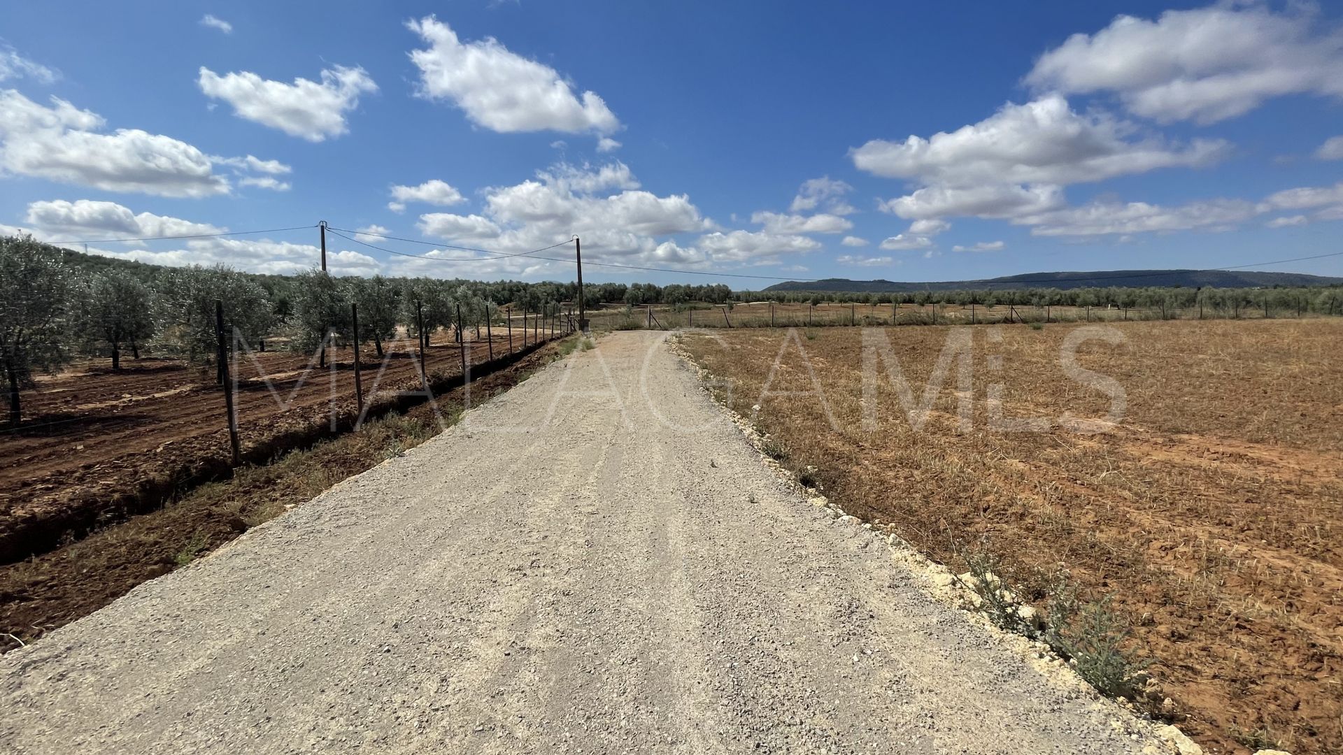 Terrain for sale in Mollina