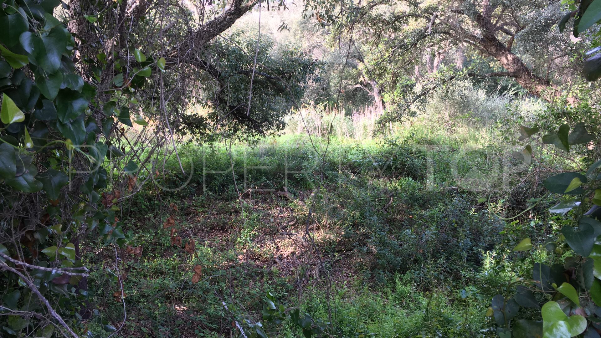 Plot in Los Altos de Valderrama for sale