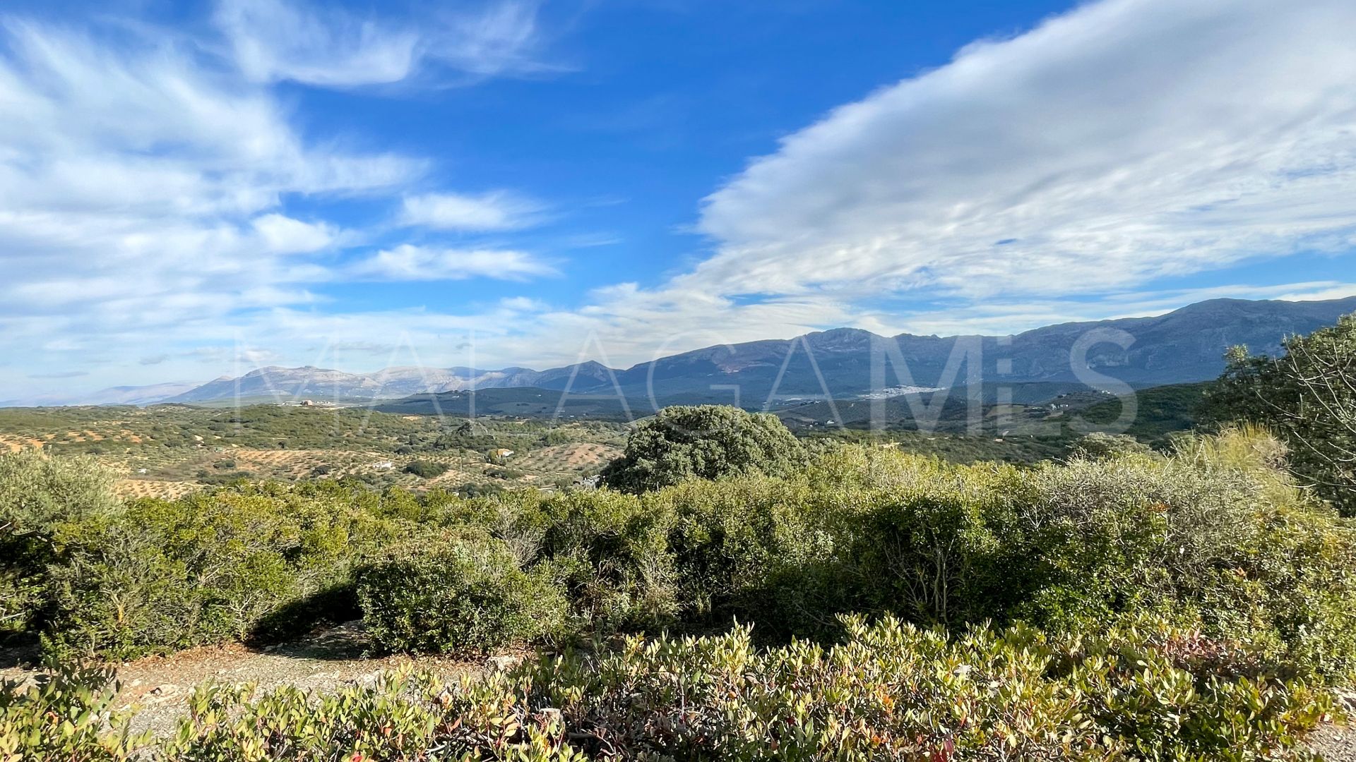 Villanueva del Rosario country house for sale