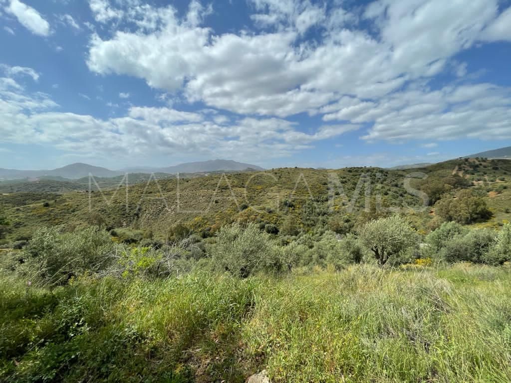 Plot for sale in Loma del Flamenco