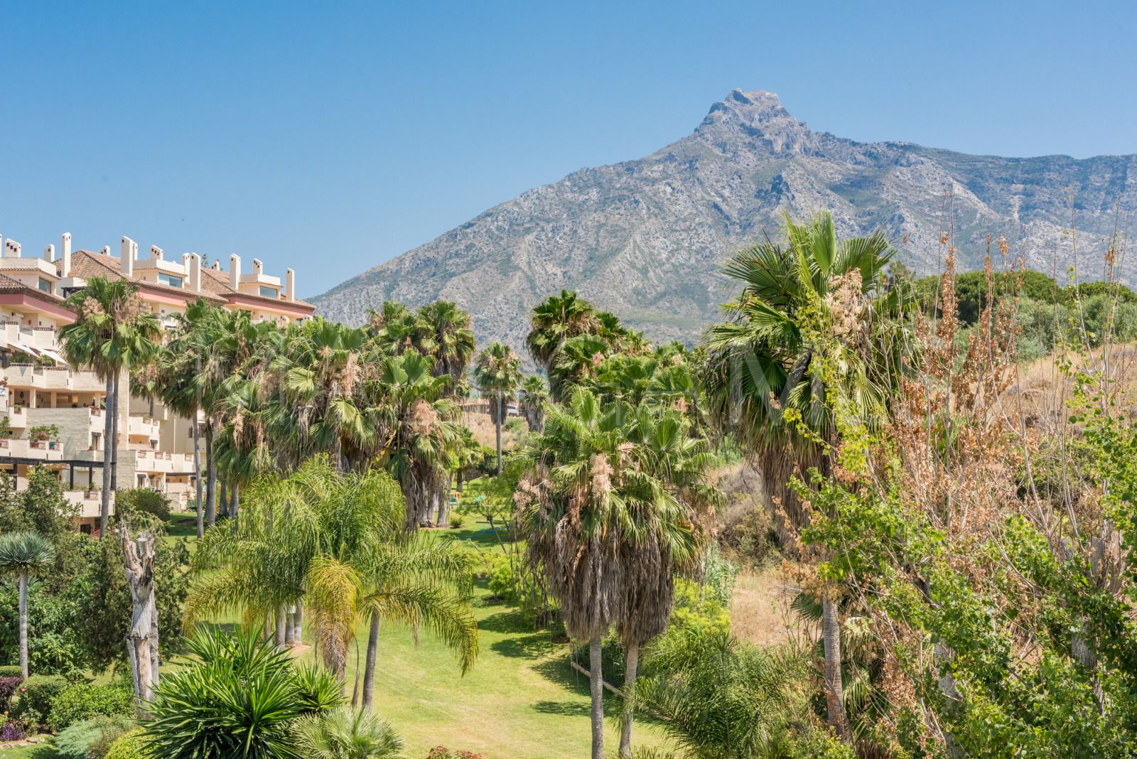 Marbella Golden Mile 5 bedrooms town house for sale