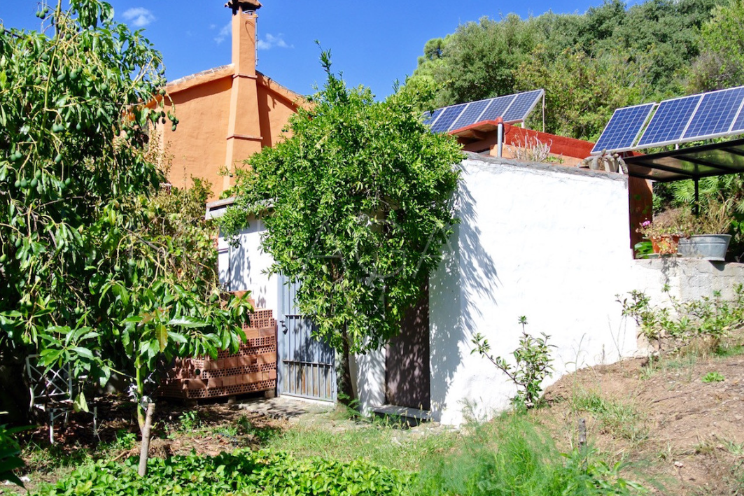 5 bedrooms finca in Istan for sale